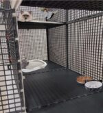 50cm X 200cm Yükseklik 100cm Kedi, Tavşan, Ginepig, Tavuk Tabanı Dolu Üstü Kapalı 2 Katlı Çit - Kafes - Görsel 7