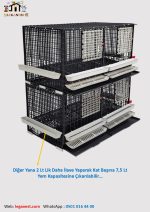 62cm X 124cm X 62cm Yumurta Eğimli Tavuk, Sülün, Yarka, Bantam, Güvercin, Keklik Kafesi LGN60120_TVE_SD - Görsel 10
