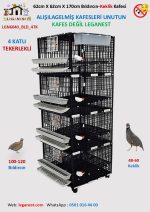 62cm X 62cm X 170cm 100-120Ad. Bıldırcın, 48-60 Keklik Kapasiteli LGN60_BLD_4TK