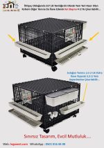62cm X 62cm X 90cm 48-60Ad. Bıldırcın, 24-30 Keklik Kapasiteli LGN60_BLD_2TK - Görsel 7